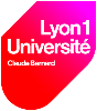 University of Lyon